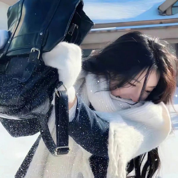 西雅图寻爱记